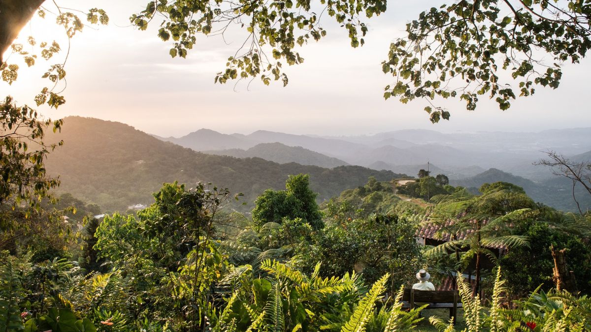 Jungle views from Casa Oropéndola in Colombia