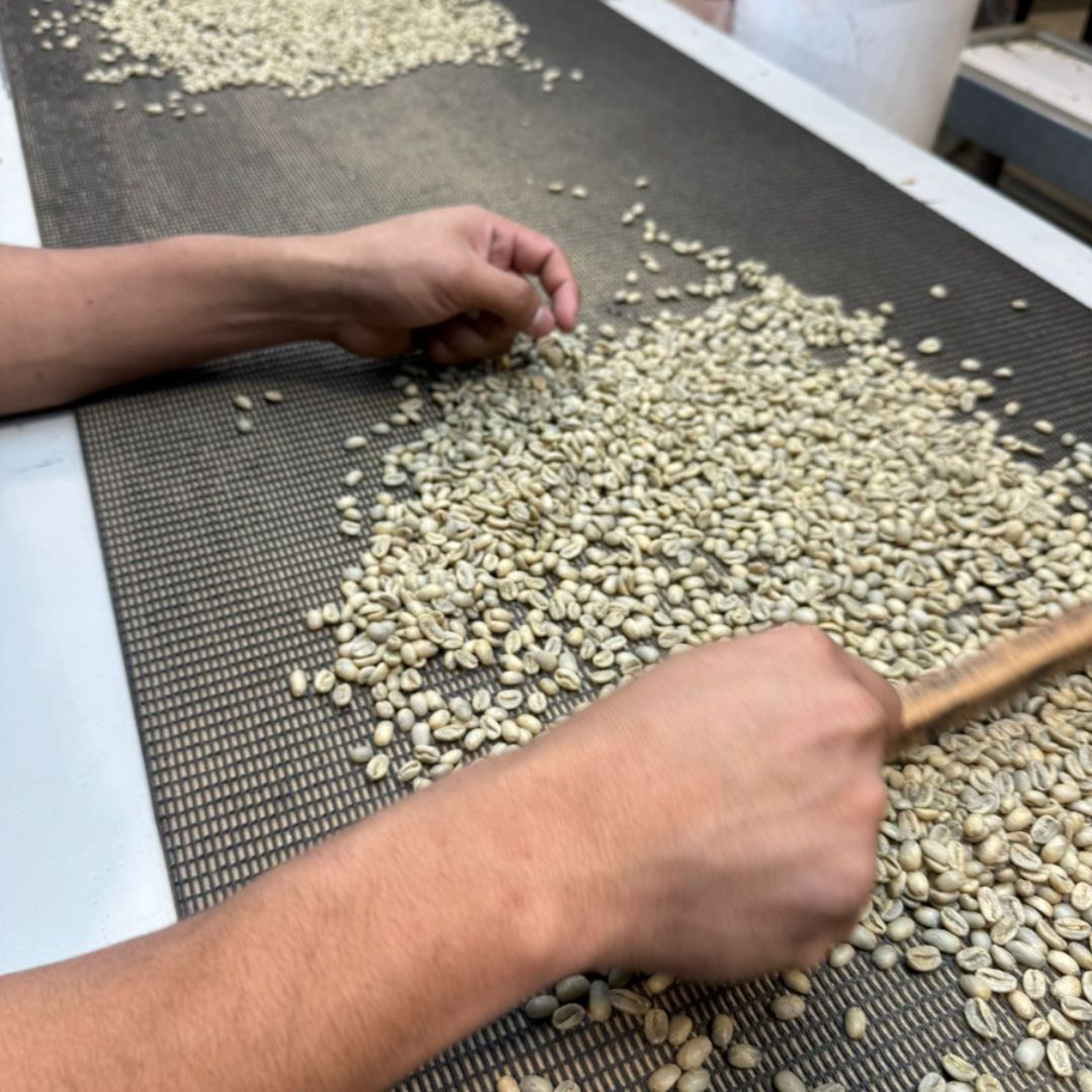 Private yacht charter experience along Costa Rica’s Pacific coast