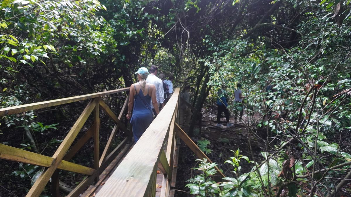 “Corcovado National Park accessed by luxury yacht, Costa Rica”