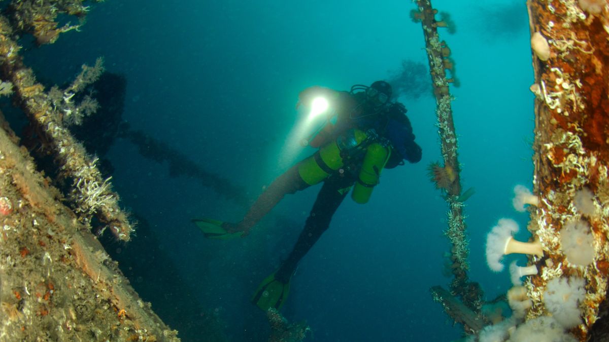 Guests getting their dry suit diving qualification
