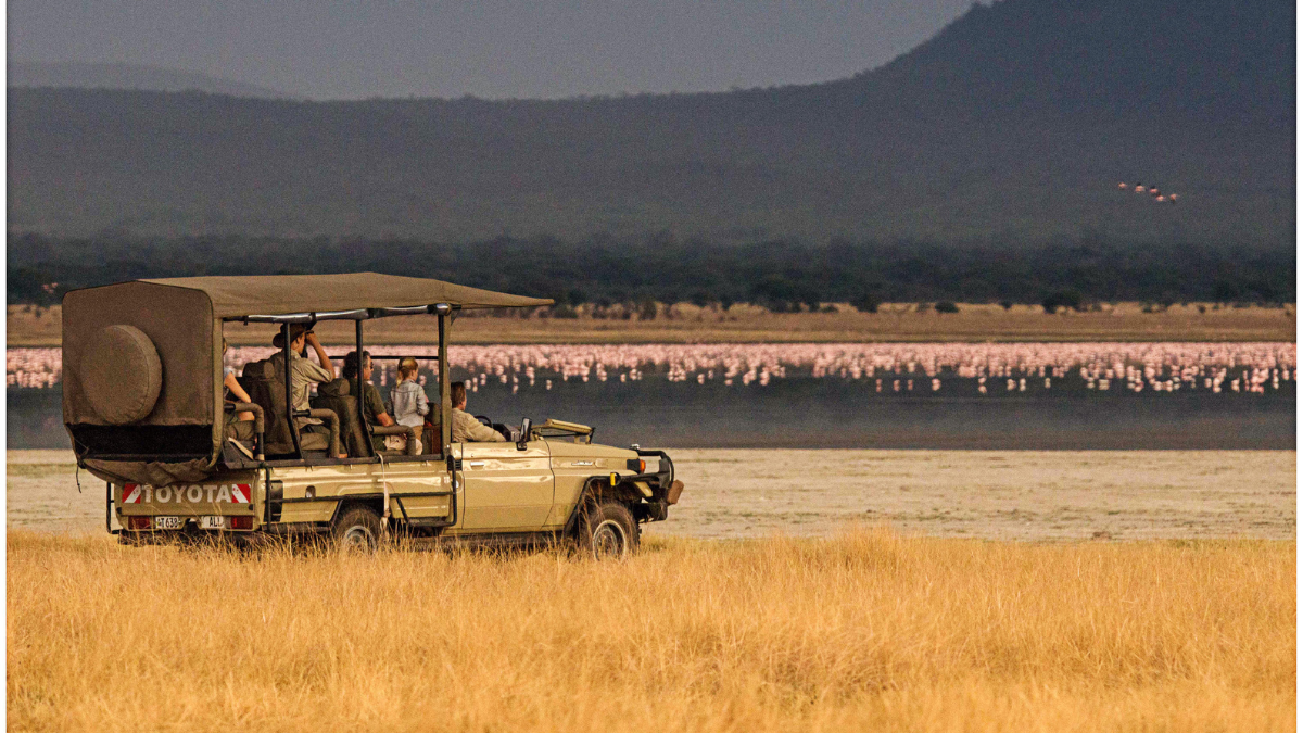Safari vehicle spotting flamingos in a lake in Tanzania