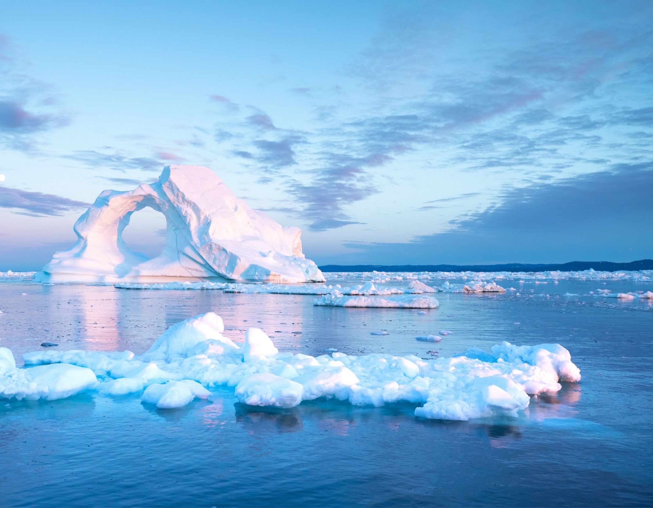 Pink-hued icy waters with floating icebergs – Pelorus Yachting 2026 Greenland Arctic luxury yacht journey.