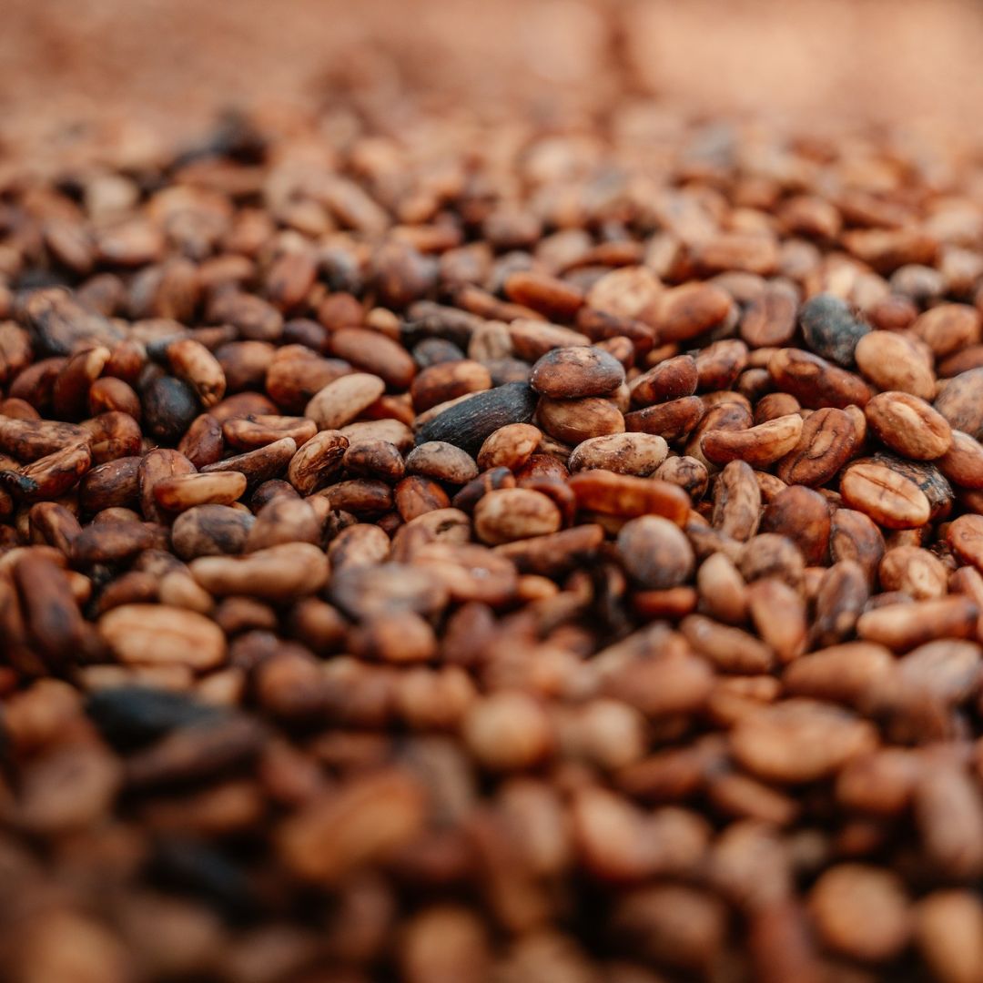 Coffee tasting on board a yacht during a Panama expedition charter