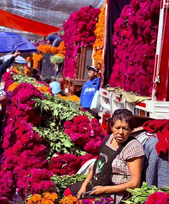 luxury holidays for families