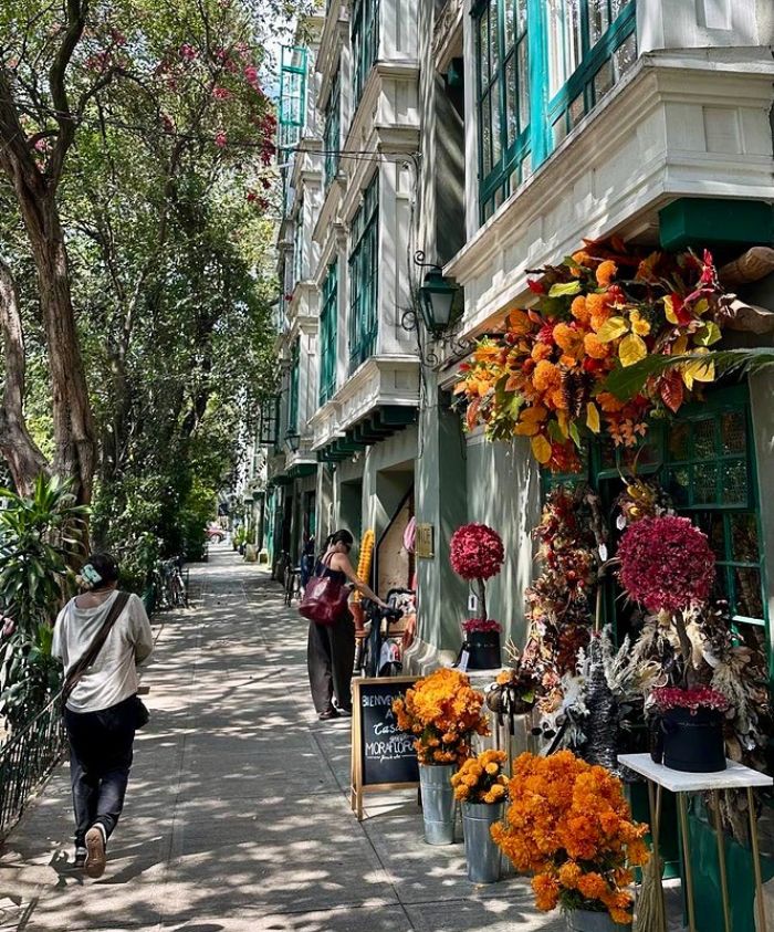 luxury trip to mexico