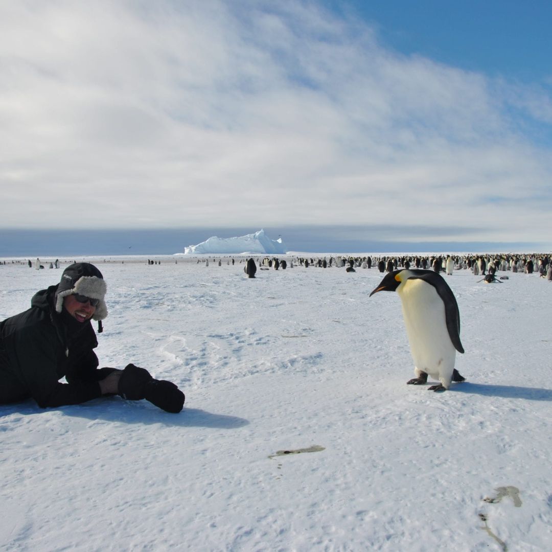 Guests gaining rare insights into penguin behaviour with a penguinologist