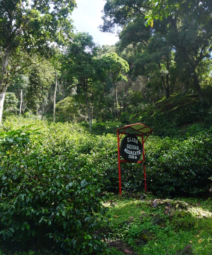 Corcovado National Park accessed by luxury yacht, Costa Rica