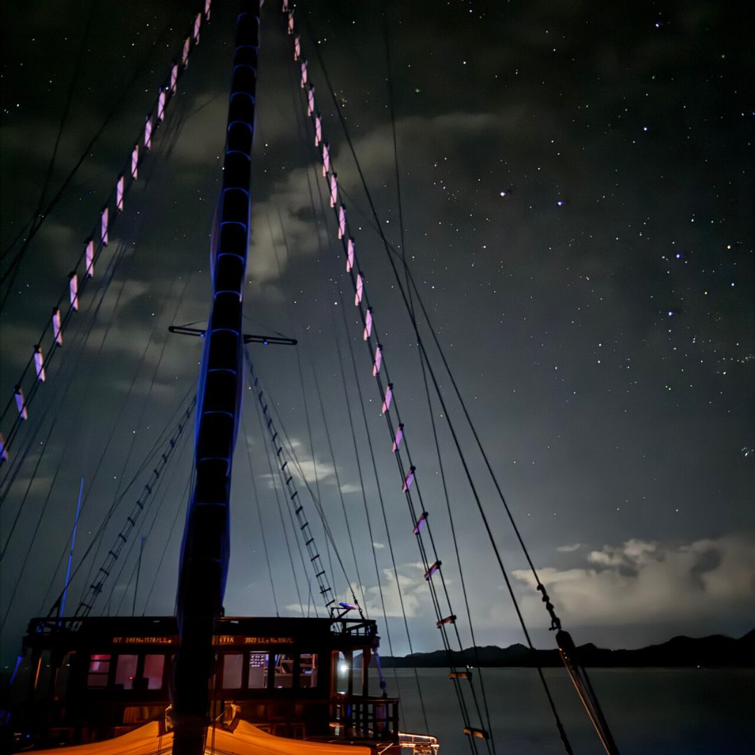 Guests learning to navigate their journey onboard using the night sky