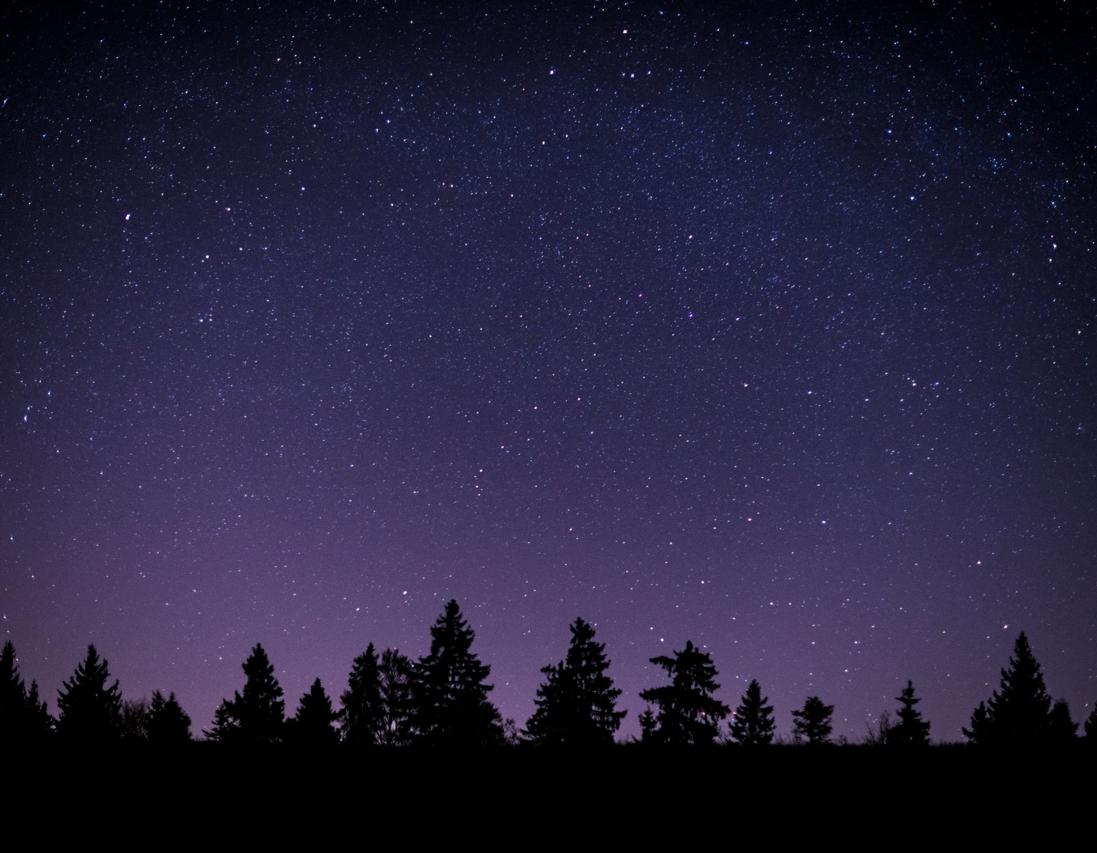Starry night sky with trees symbolizing Pelorus Yachting’s top 2026 adventures – Arctic eclipse, Odysseus journey, Galápagos conservation.