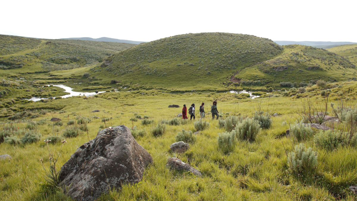 Trek through Tanzania landscape