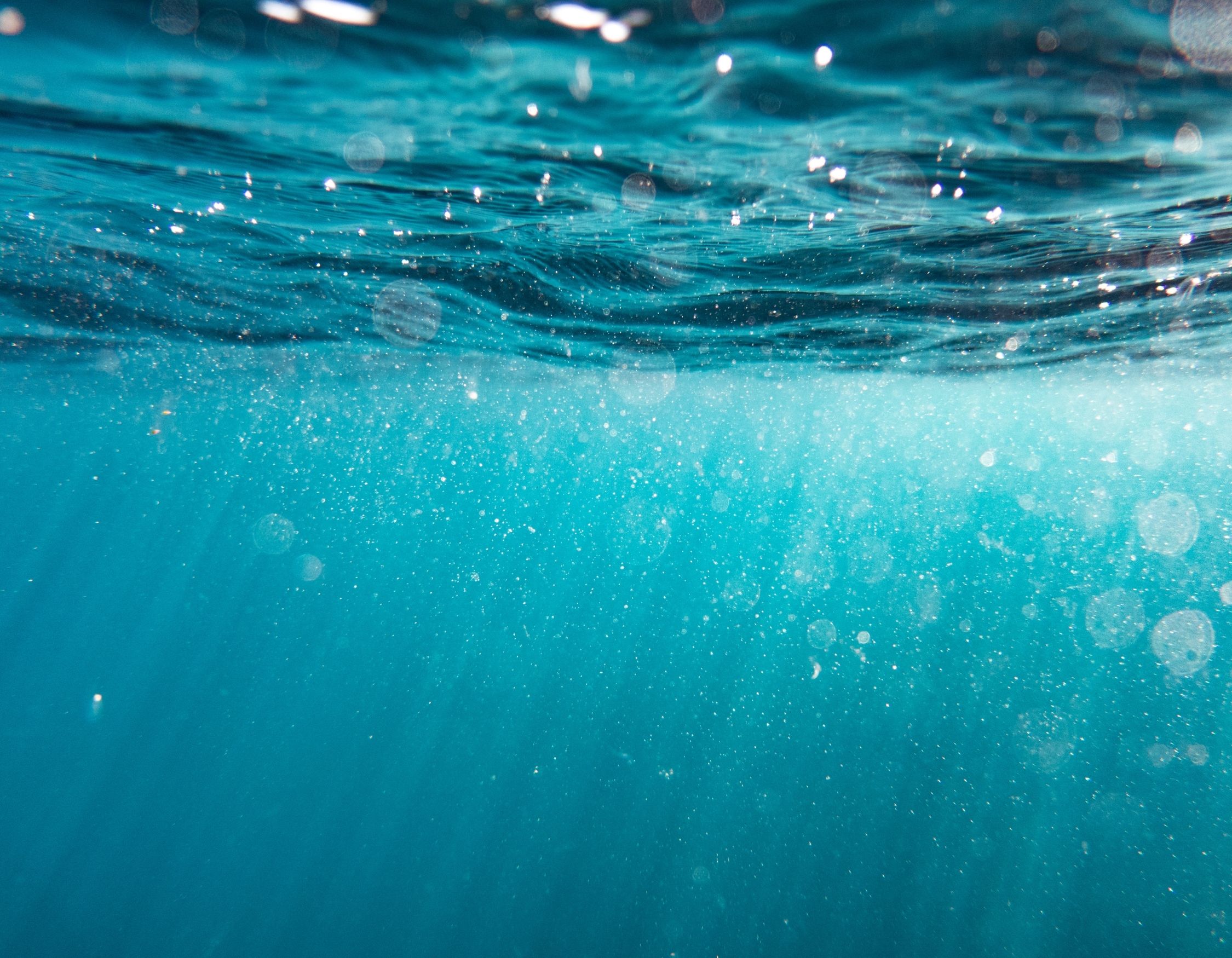 Underwater blue sea texture evoking Galápagos marine exploration. Pelorus Yachting 2026 luxury expedition voyage.